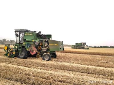 昔日生活苦，今天美滋滋——記襄城縣范湖鄉(xiāng)凹郭村王清坤的農(nóng)機租賃致富路